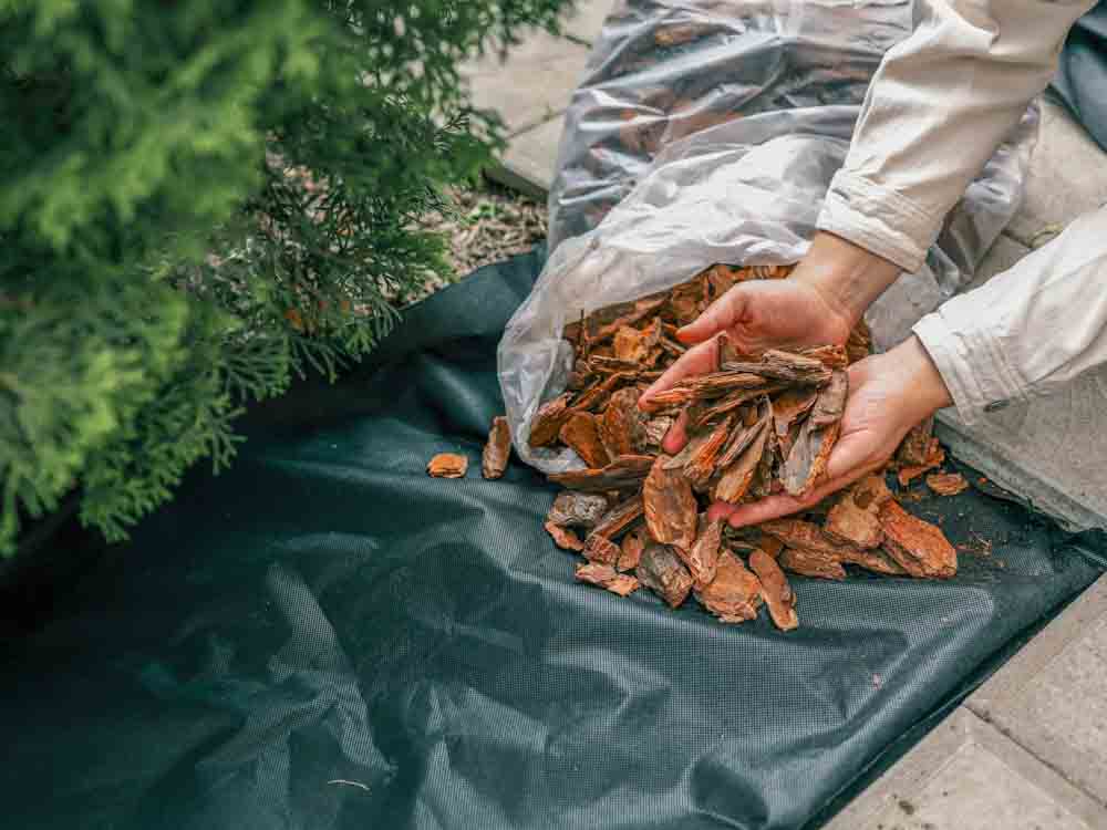 5 Reasons Why Landscape Fabric Is Worth Every Penny