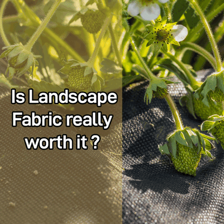 5 Reasons Why Landscape Fabric Is Worth Every Penny