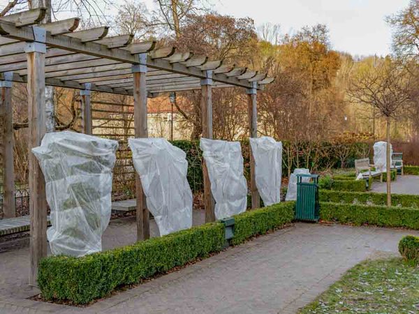 Frost Blanket for Plants: Buyer's Guide and Protection Guide