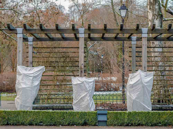 Frost Blanket for Plants | Protection Guide