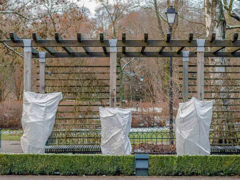 Frost Blanket for Plants | Protection Guide