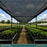 50% black knitted shade cloth over nursery benches - Pro Fabric Supply