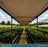 65% mocha knitted shade cloth over nursery benches - Pro Fabric Supply