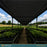 90% black knitted shade cloth over nursery benches - Pro Fabric Supply