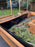 Plant Box Liner Material