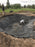 Worker fitting non-woven bunker liner fabric into a bunker with the green and fairway in view
