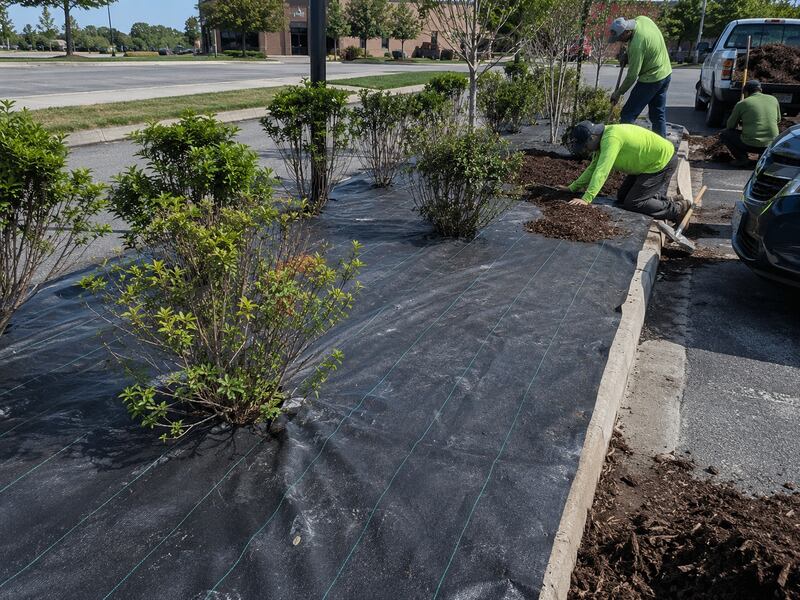 Heavy-duty weed barrier installed in a commercial landscape bed
