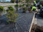 Heavy-duty weed barrier installed in a commercial landscape bed
