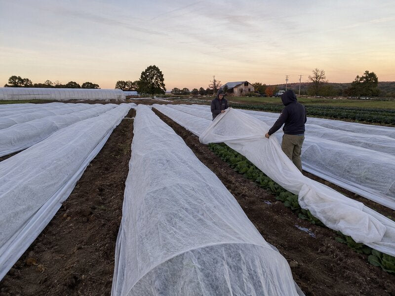 Frost blanket providing plant frost protection
