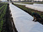 Frost cloth for plants over a garden bed
