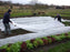 Garden frost blanket over vegetable beds

