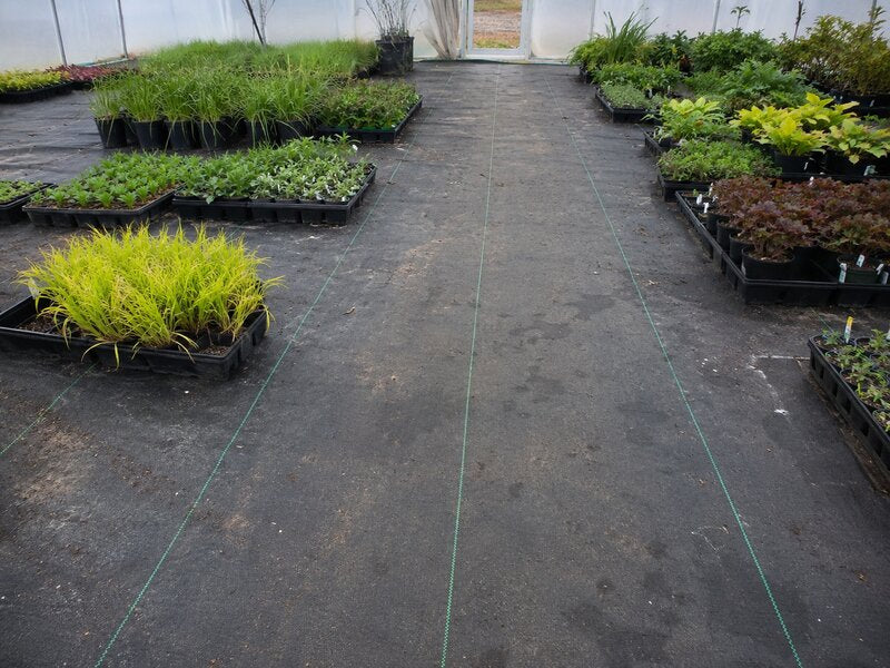 Ground cover fabric across a nursery container yard
