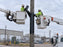 Utility worker installing HDPE pole wrap