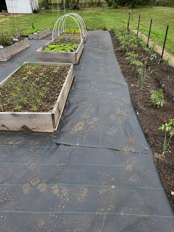 Heavy-duty weed barrier along a raised bed garden pathway
