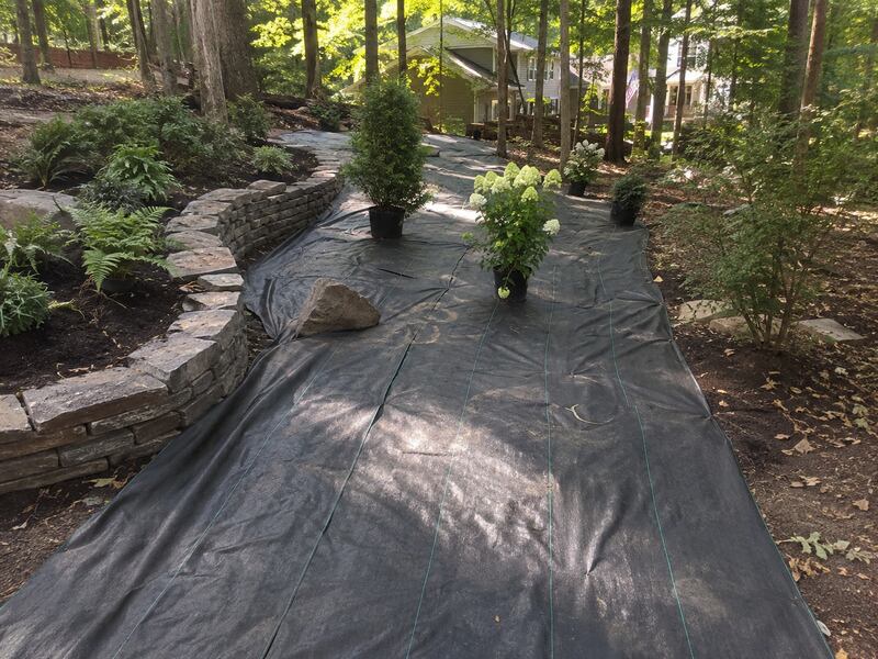 Heavy-duty weed barrier along a woodland garden pathway
