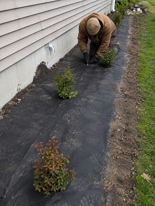 Installing polyspun landscape fabric alongside a house
