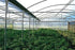Lightweight Shade Cloth