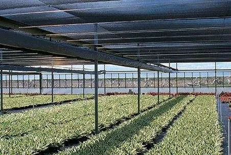 Knitted UV-stabilized shade cloth