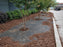 Landscape weed barrier fabric installed along a building edge
