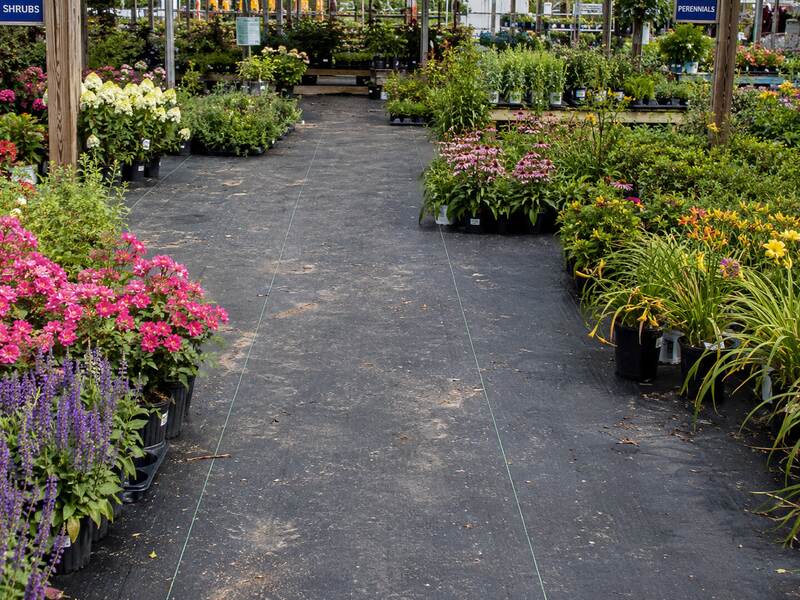 Landscape ground cover fabric in a nursery
