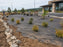 Non-woven geotextile fabric installed under a commercial parking lot planting bed
