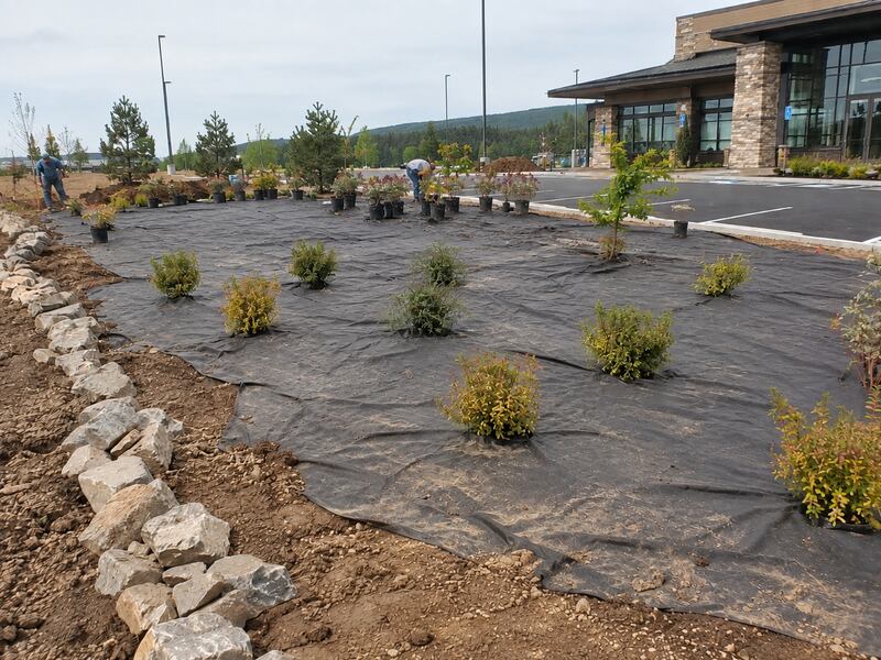 Non-woven geotextile fabric installed under a commercial parking lot planting bed
