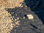 Geotech Fabric