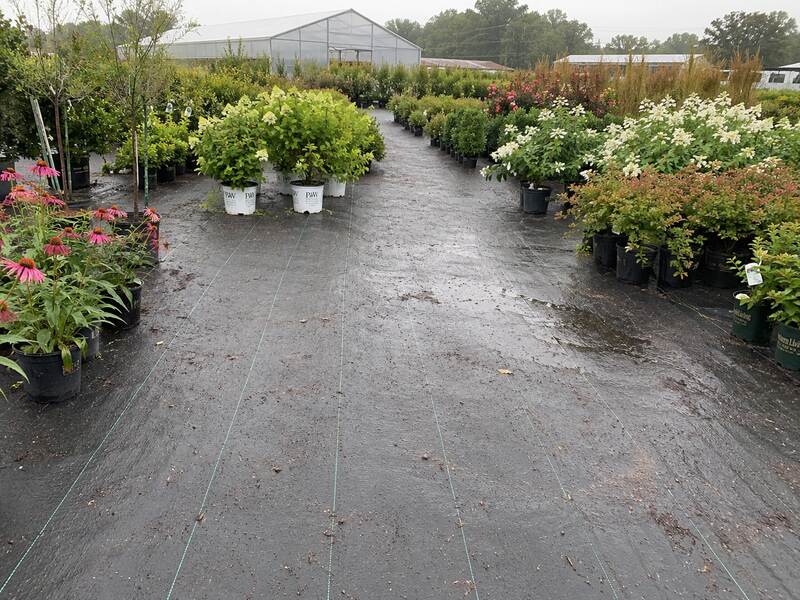 Nursery ground cover fabric at a garden center
