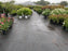 Nursery ground cover fabric at a garden center
