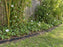 Root barrier edging containing bamboo and invasive bindweed vines along a garden bed
