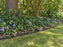 Root barrier edging containing invasive vinca periwinkle groundcover under trees
