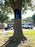 Tree Guard Material