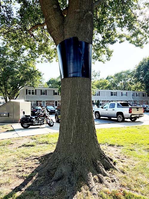 Tree Guard Material