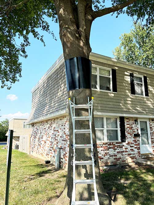 Tree Guard Material