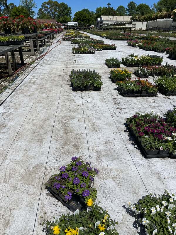 White reflective ground cover fabric under garden center flower flats
