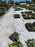 White reflective ground cover fabric under garden center flower flats
