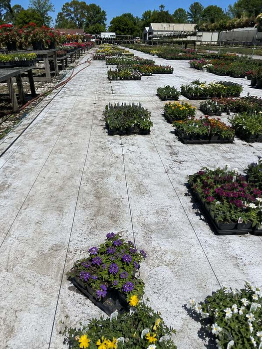 White reflective ground cover fabric under garden center flower flats

