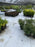 White weed barrier ground cover fabric in a nursery
