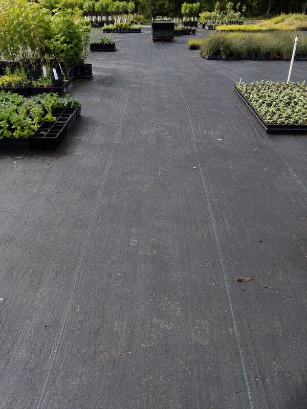 Woven ground cover fabric under nursery shrubs
