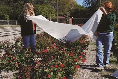 Frost Blanket - Row Cover - .5 oz