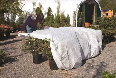 Frost Blanket - Row Cover - 1 oz