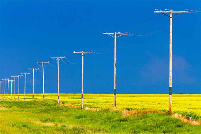 Utility Pole Wrap