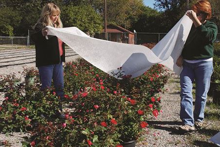 will a tarp protect plants from frost Freeze Cloth for Plants