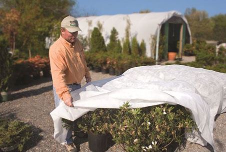 Heavy frost blanket protecting plants through winter