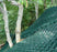 Slope Grid - Hillside Erosion Control