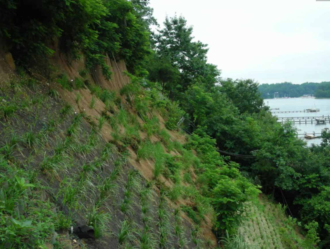 Slope Grid - Hillside Erosion Control